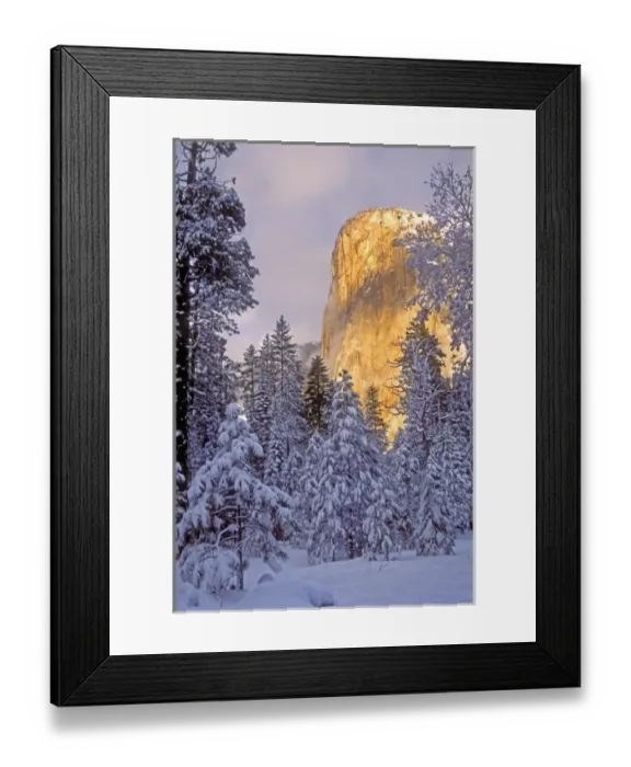 Framed Print : USA, California, Yosemite National Park. El Capitan lit by sunlight Framed Print : USA, California, Yosemite National Park. El Capitan lit by sunlight