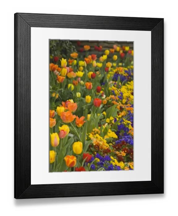 Framed Print : USA, North America, District of Columbia Framed Print : USA, North America, District of Columbia