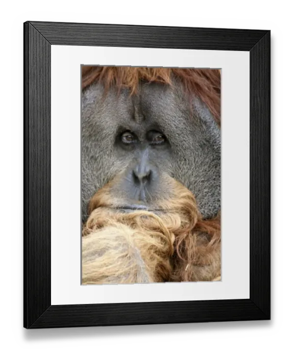 Framed Print : USA, North America, California