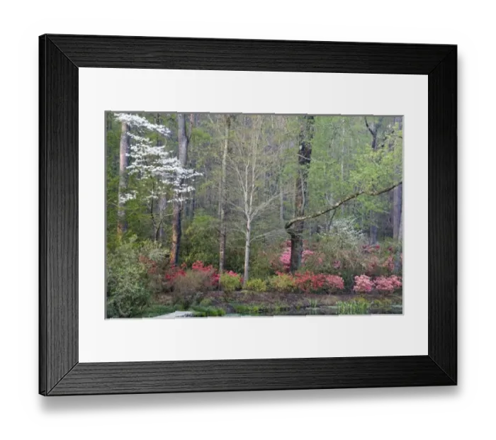 Framed Print : USA, North America, Georgia Framed Print : USA, North America, Georgia