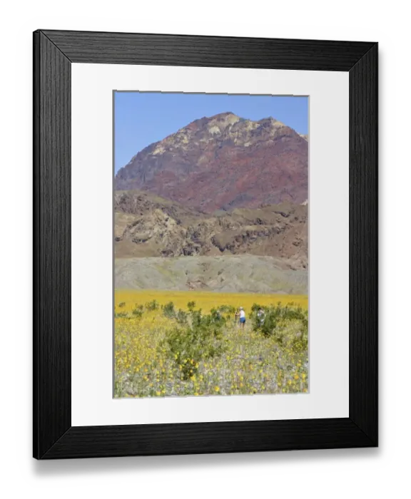 Framed Print : USA, North America, California Framed Print : USA, North America, California