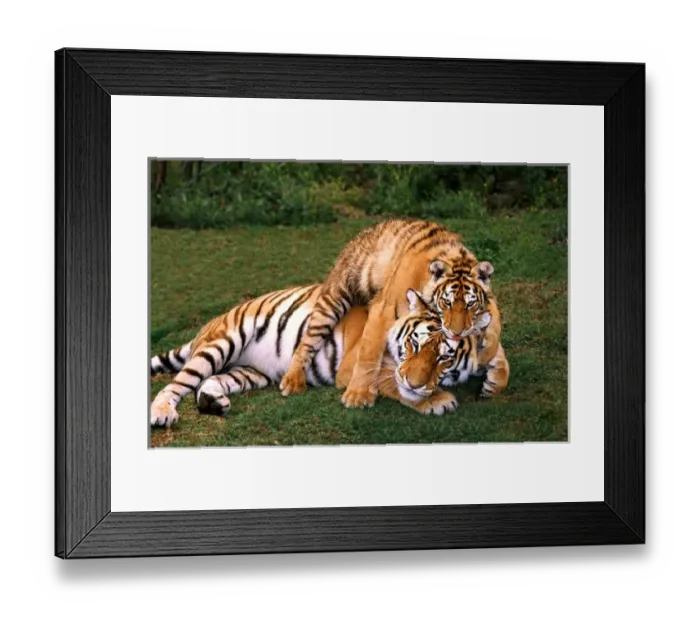 Framed Print : USA, North America, California Framed Print : USA, North America, California