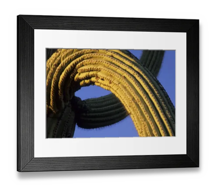 Framed Print : USA, Arizona Framed Print : USA, Arizona