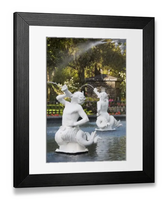 Framed Print : USA, North America, Georgia