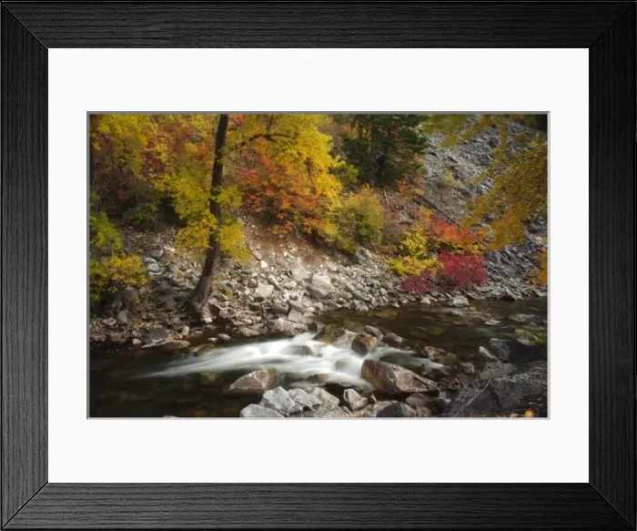 Framed Print : USA, Washington, Hwy 2. Fall along the Nason Creek in the North Cascades Framed Print : USA, Washington, Hwy 2. Fall along the Nason Creek in the North Cascades
