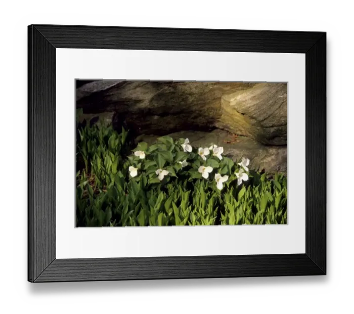 Framed Print : USA, North America, Connecticut Framed Print : USA, North America, Connecticut