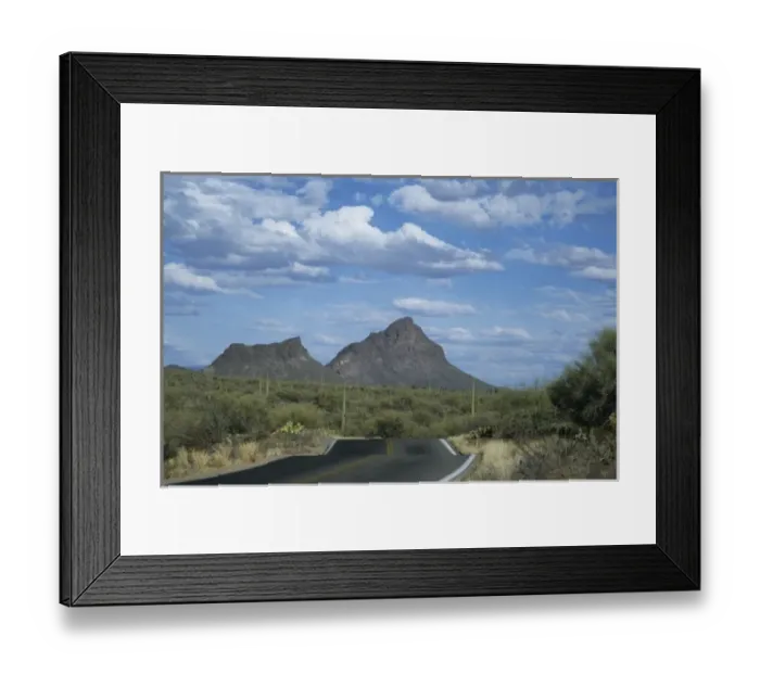 Framed Print : Saguaro National Park, Tucson, Arizona Framed Print : Saguaro National Park, Tucson, Arizona