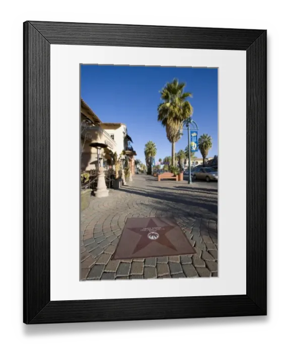 Framed Print : Nancy Sinatras star on the Walk of Fame California USA Framed Print : Nancy Sinatras star on the Walk of Fame California USA