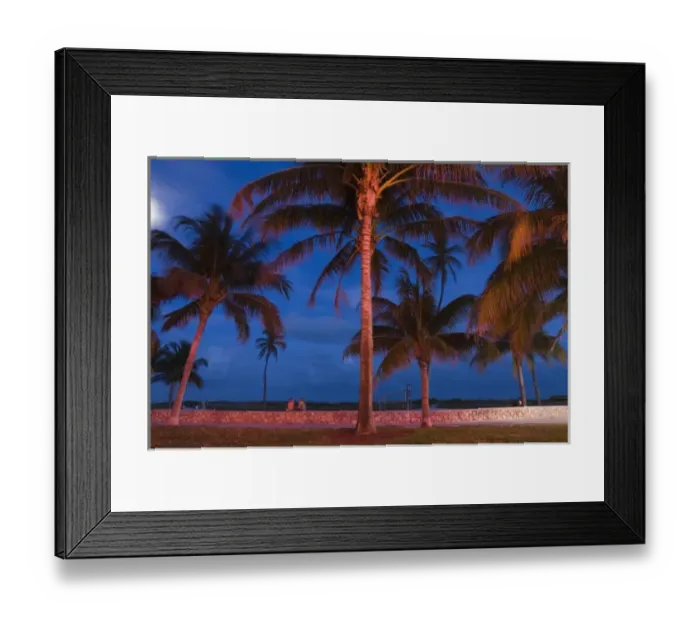 Framed Print : USA, Florida, Miami Beach: South Beach, South Beach Palms / Evening Framed Print : USA, Florida, Miami Beach: South Beach, South Beach Palms / Evening