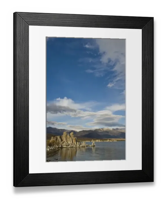 Framed Print : USA, California. Rabbitbrush carpets the high desert around the tufa formations Framed Print : USA, California. Rabbitbrush carpets the high desert around the tufa formations