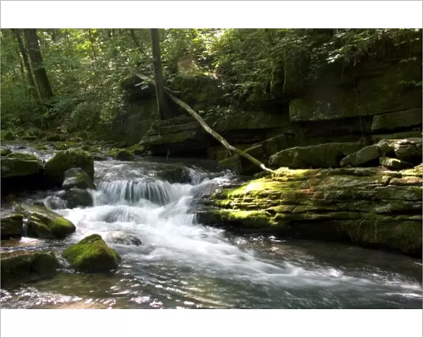 Stream flowing out of Blanchard Cavern in the Ouachita National Forest of Arkansas