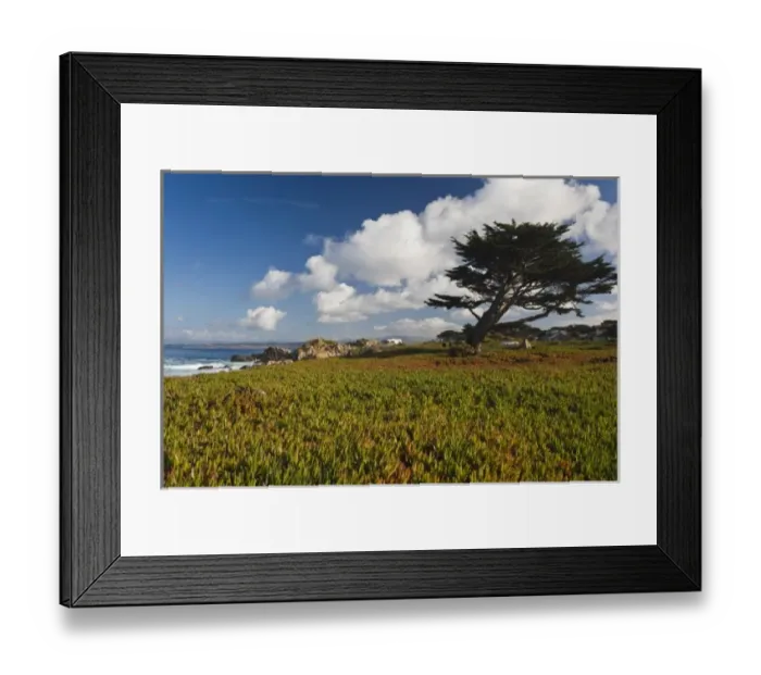 Framed Print : USA, California, Central Coast, Monterey Peninsula, Pacific Grove coastline Framed Print : USA, California, Central Coast, Monterey Peninsula, Pacific Grove coastline