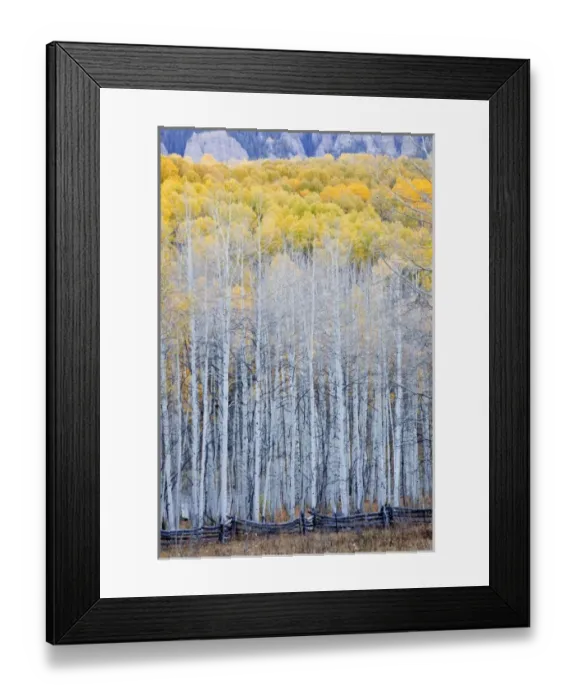 Framed Print : USA, North America, Colorado