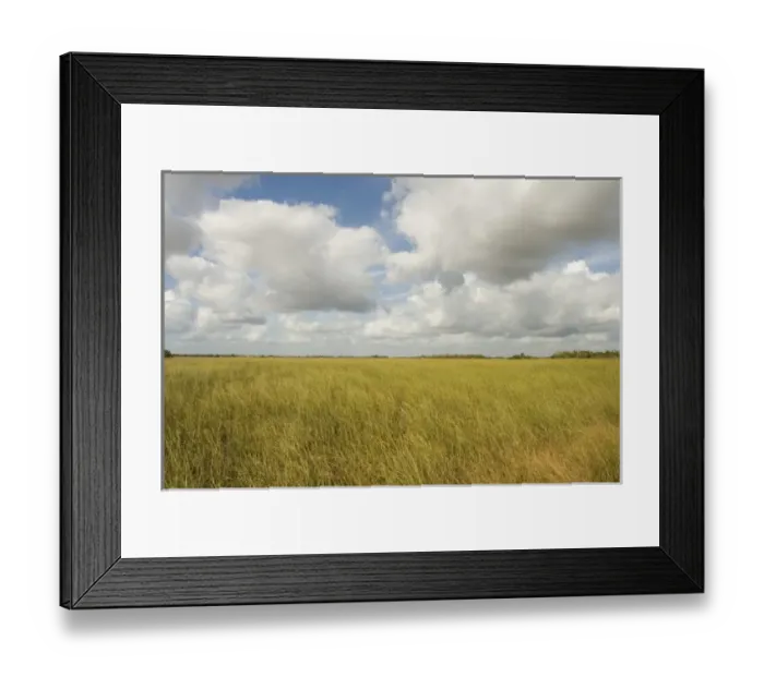 Framed Print : USA, North America, Florida Framed Print : USA, North America, Florida
