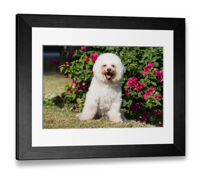 Framed Print : USA, North America, California Framed Print : USA, North America, California