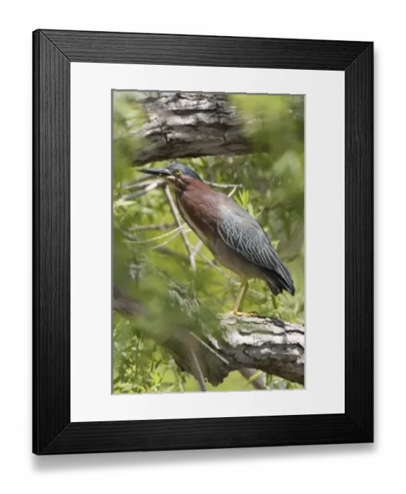 Framed Print : USA, North America, California Framed Print : USA, North America, California