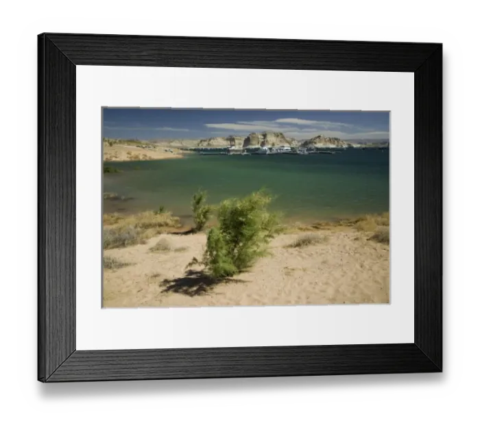 Framed Print : USA, North America, Arizona