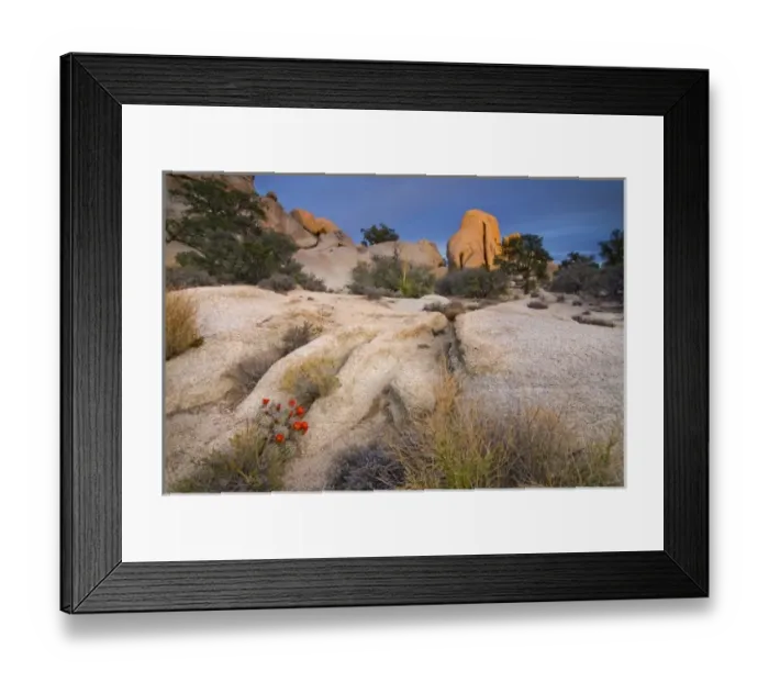 Framed Print : USA, North America, California Framed Print : USA, North America, California