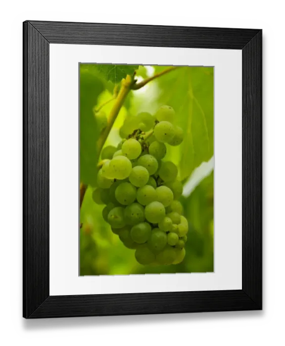 Framed Print : USA, North America, California