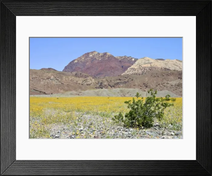 Framed Print : USA, North America, California