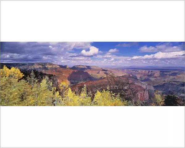 USA, Arizona, Grand Canyon NP. Vista Encantada from the North Rim of the Grand Canyon NP