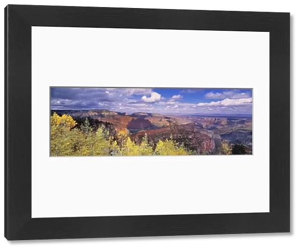 USA, Arizona, Grand Canyon NP. Vista Encantada from the North Rim of the Grand Canyon NP