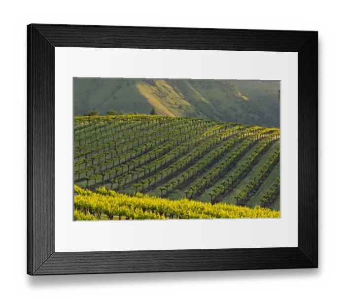 Framed Print : USA, North America, California