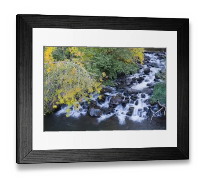 Framed Print : AZ, Arizona, Oak Creek Canyon, Grasshopper Point, Oak Creek and trees with fall color Framed Print : AZ, Arizona, Oak Creek Canyon, Grasshopper Point, Oak Creek and trees with fall color