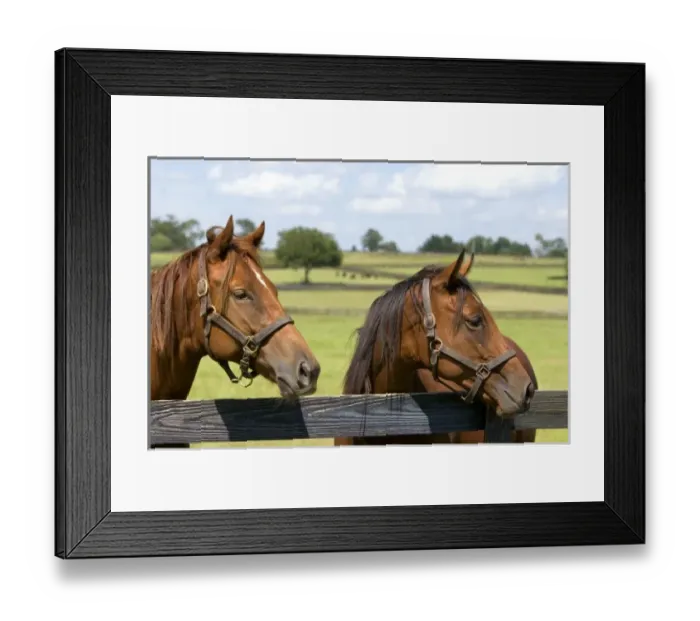 Framed Print : USA, North America, Florida Framed Print : USA, North America, Florida