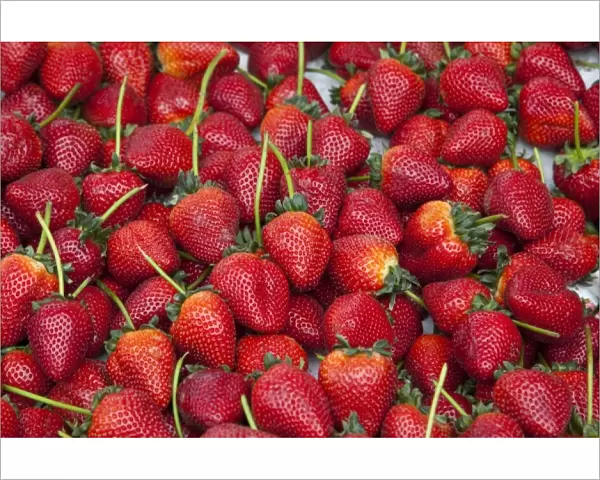 Fresh ripe strawberries on display at market
