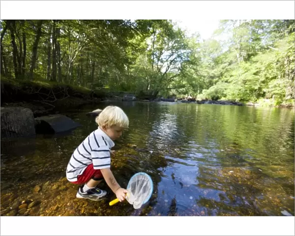 A young boy (age 3) plays in the Eightmile River in Lyme, Connecticut. The Nature