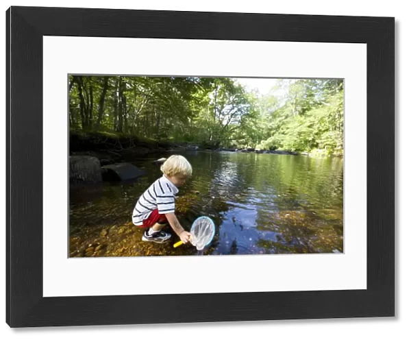 A young boy (age 3) plays in the Eightmile River in Lyme, Connecticut. The Nature