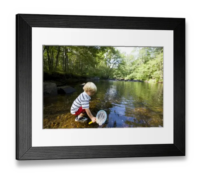 Framed Print : A young boy (age 3) plays in the Eightmile River in Lyme, Connecticut. The Nature Framed Print : A young boy (age 3) plays in the Eightmile River in Lyme, Connecticut. The Nature
