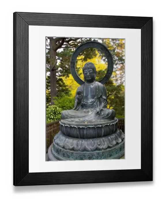 Framed Print : USA, North America, California