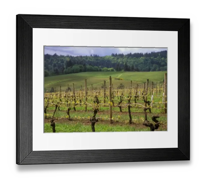 Framed Print : USA, North America, California Framed Print : USA, North America, California
