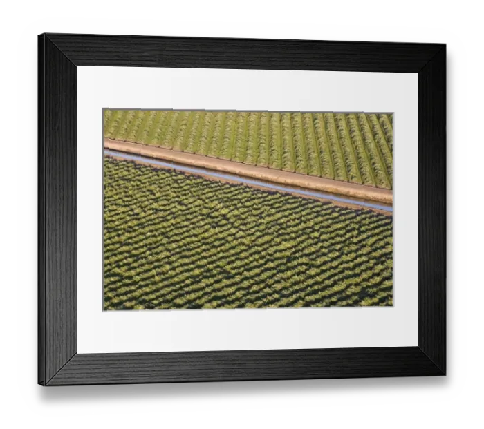 Framed Print : USA, North America, California Framed Print : USA, North America, California