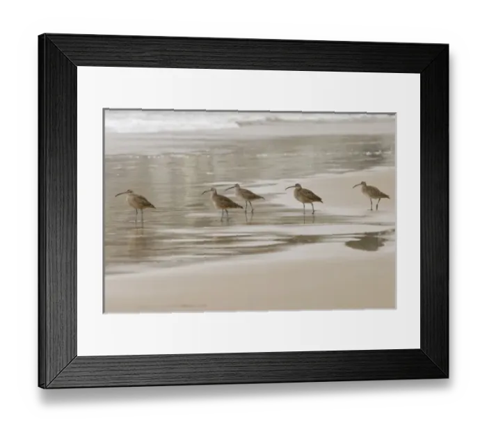 Framed Print : USA, North America, California Framed Print : USA, North America, California