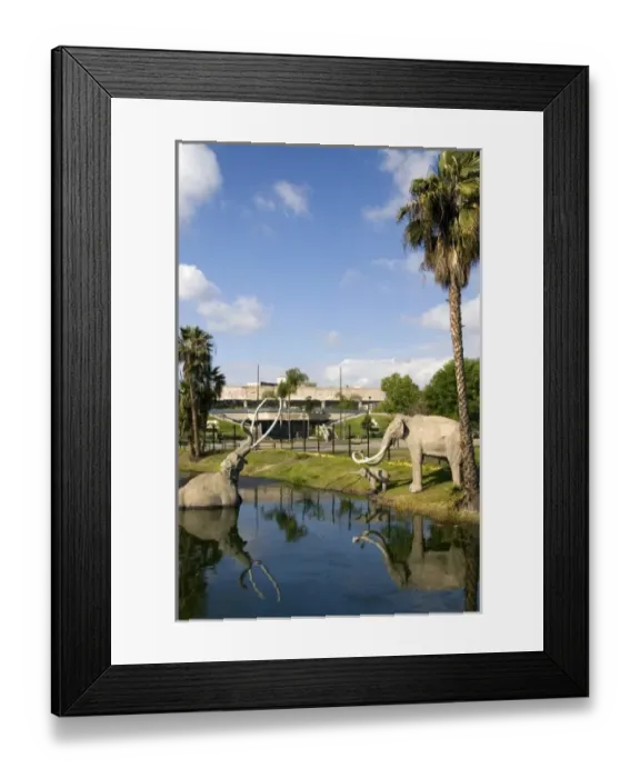 Framed Print : Models of mammoths at the La Brea Tar Pits in Hancock Park, Los Angeles, California, USA Framed Print : Models of mammoths at the La Brea Tar Pits in Hancock Park, Los Angeles, California, USA