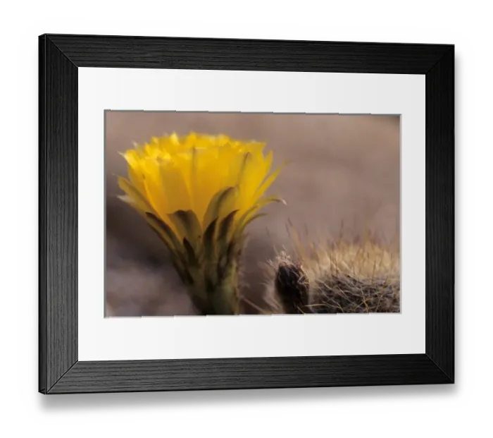 Framed Print : USA, North America, Arizona