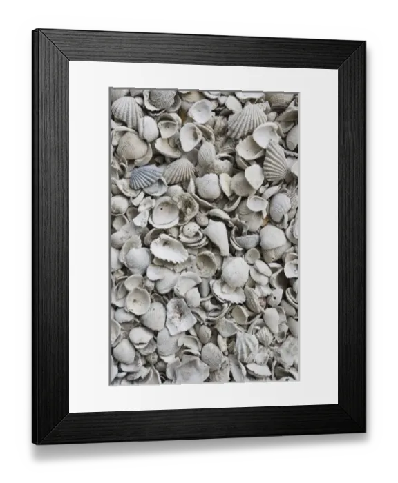 Framed Print : USA, North America, Florida Framed Print : USA, North America, Florida