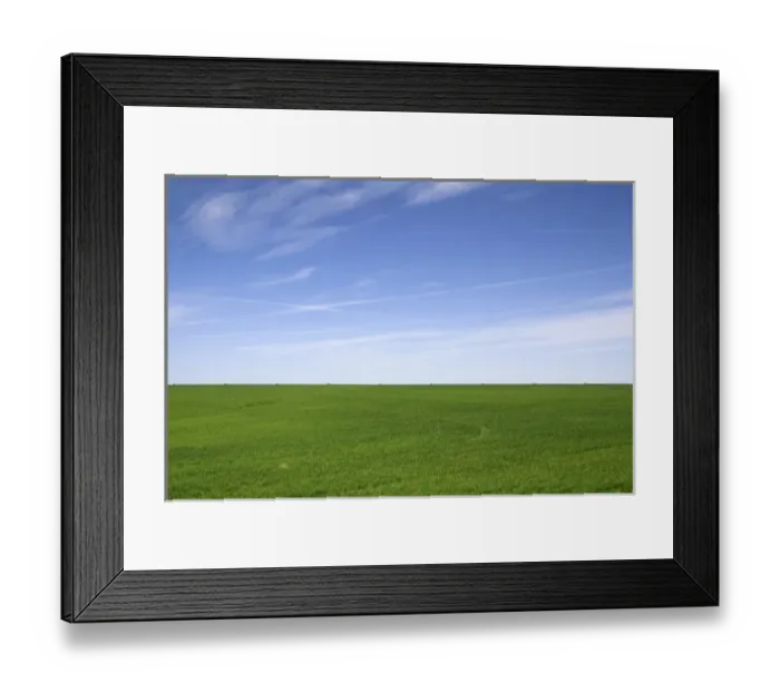 Framed Print : Green wheat fields in Washington County, Colorado, USA Framed Print : Green wheat fields in Washington County, Colorado, USA