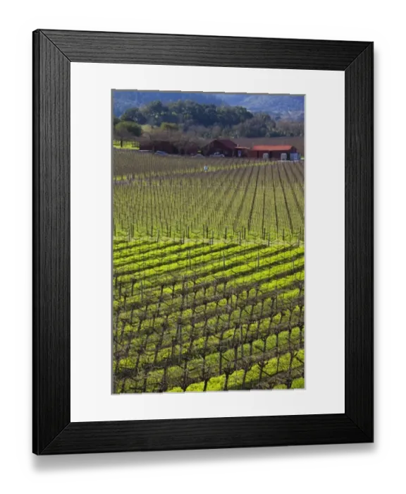 Framed Print : USA, North America, California Framed Print : USA, North America, California