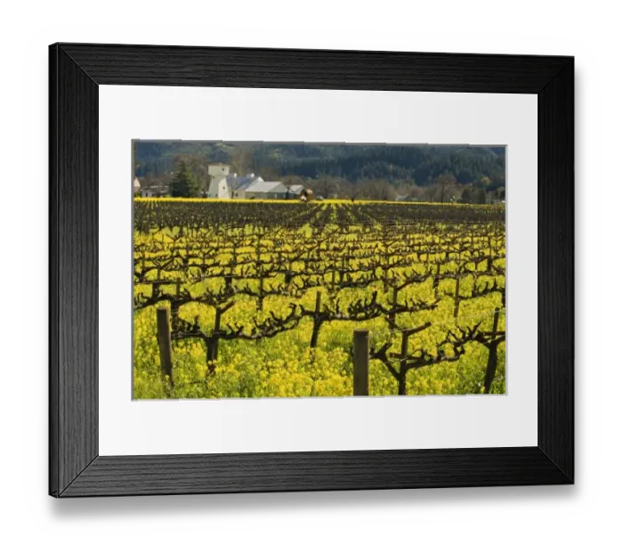 Framed Print : USA, North America, California Framed Print : USA, North America, California
