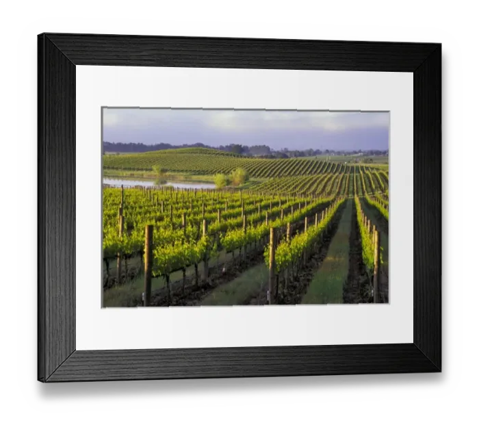 Framed Print : USA, North America, California