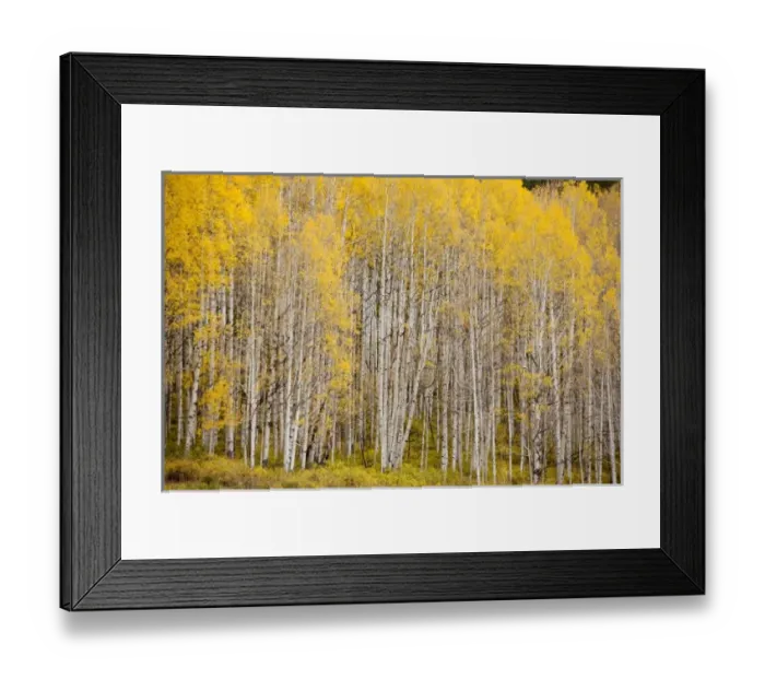 Framed Print : USA, North America, Colorado Framed Print : USA, North America, Colorado