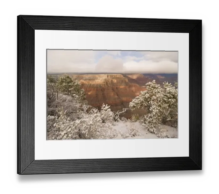 Framed Print : Scenic snowy winter landscape along the south rim of the majestic Grand Canyon, Grand Framed Print : Scenic snowy winter landscape along the south rim of the majestic Grand Canyon, Grand