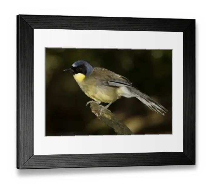 Framed Print : USA, North America, California Framed Print : USA, North America, California