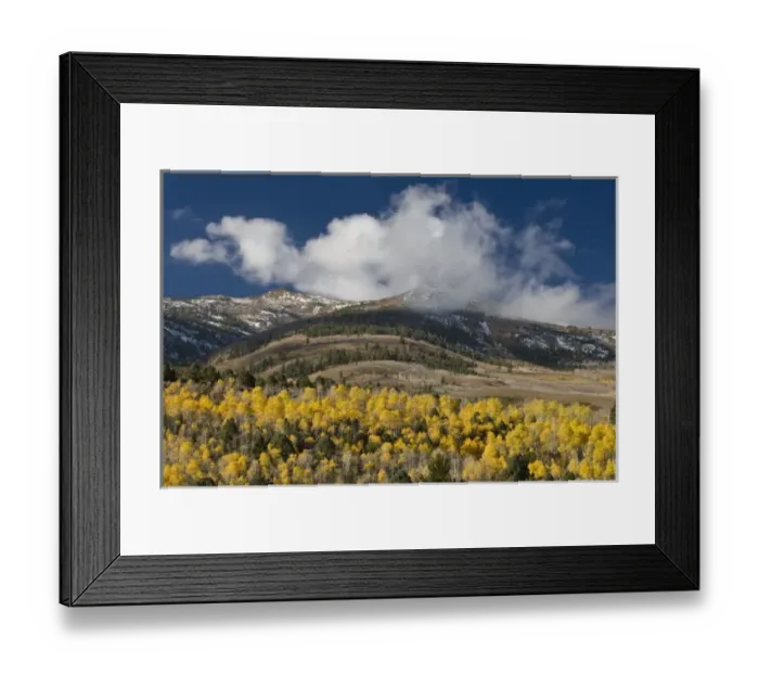 Framed Print : USA, North America, California Framed Print : USA, North America, California