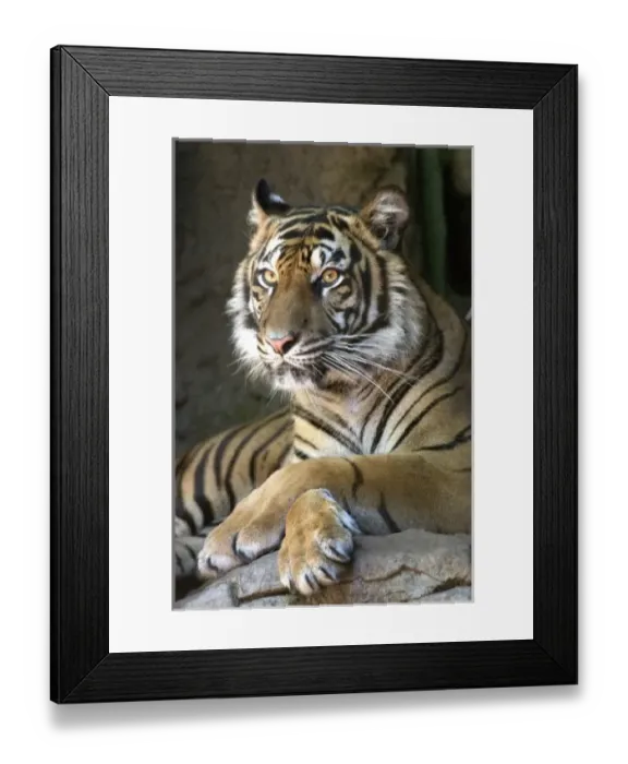 Framed Print : USA, North America, California Framed Print : USA, North America, California