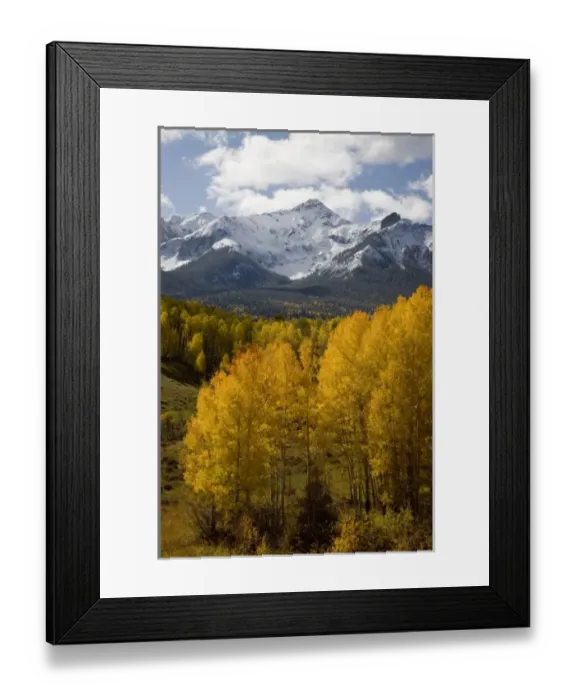 Framed Print : USA, Colorado, San Juan Mountains, Uncompahgre National Forest. Fresh snow on North Framed Print : USA, Colorado, San Juan Mountains, Uncompahgre National Forest. Fresh snow on North